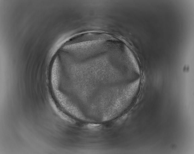 X0000113010055200909171439