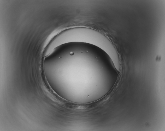 X0000113010056200909171439