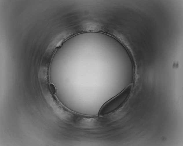 X0000113010057200909171439