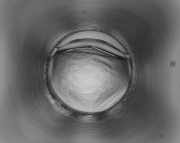 X0000113010058200909171439