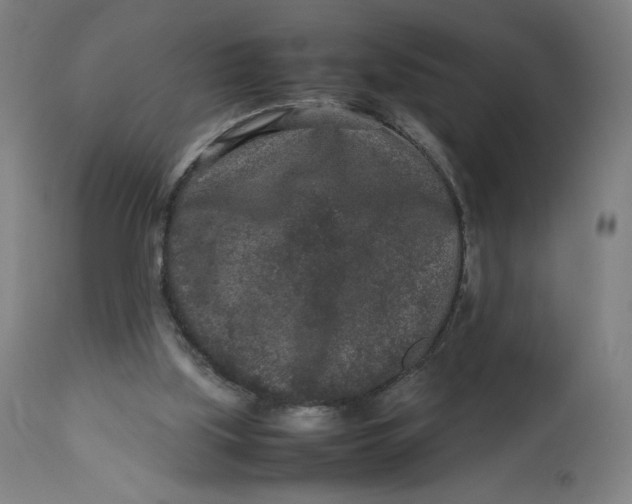 X0000113010059200909171439