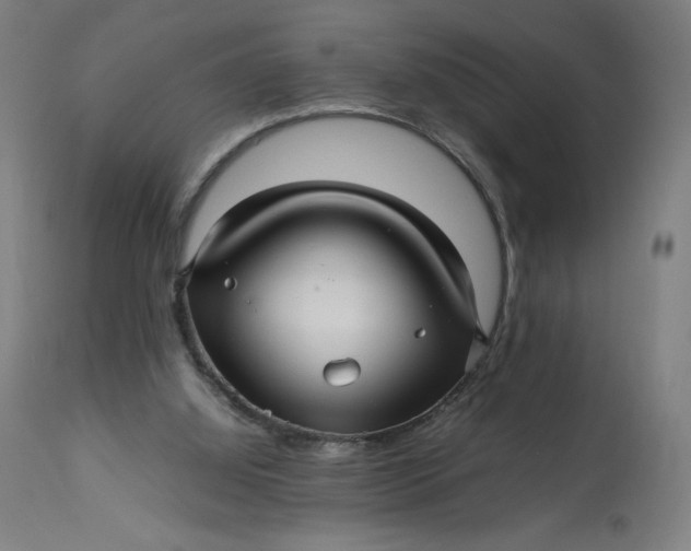 X0000113010060200909171439