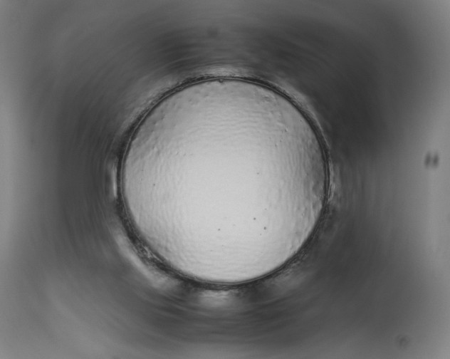 X0000113010061200909171439