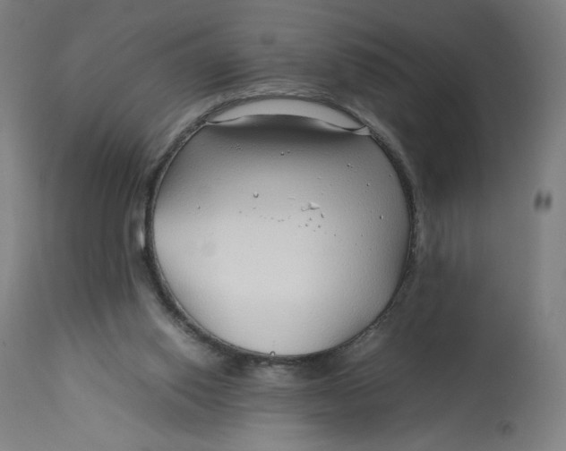 X0000113010062200909171439