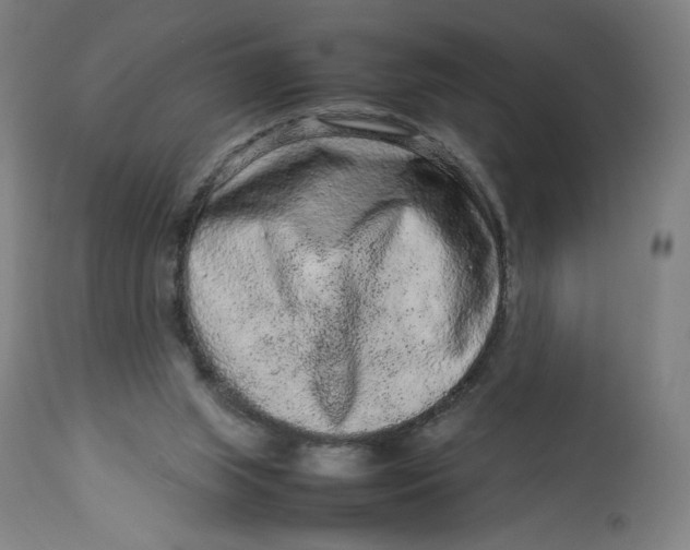 X0000113010063200909171439