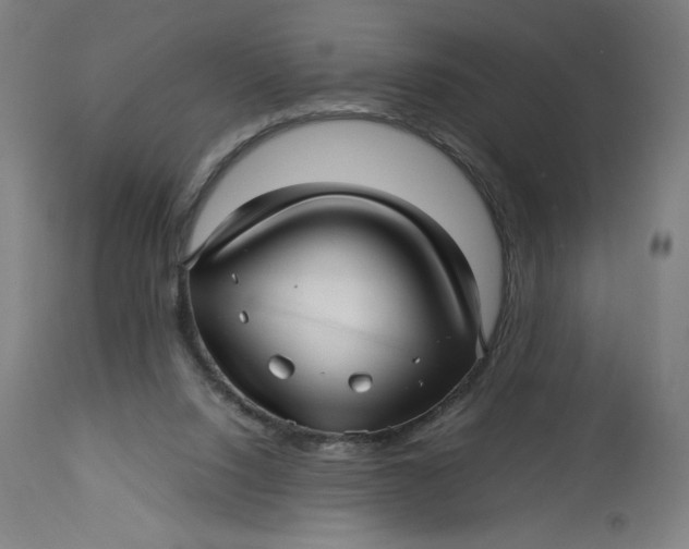 X0000113010064200909171439