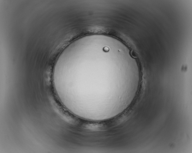 X0000113010065200909171439