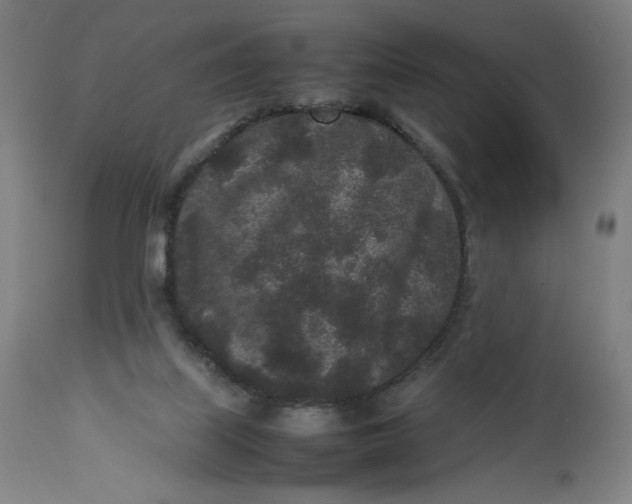 X0000113010067200909171439