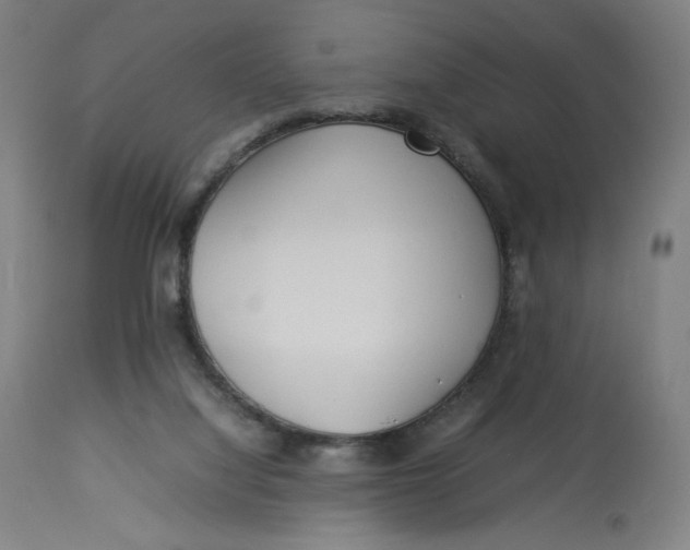 X0000113010068200909171439