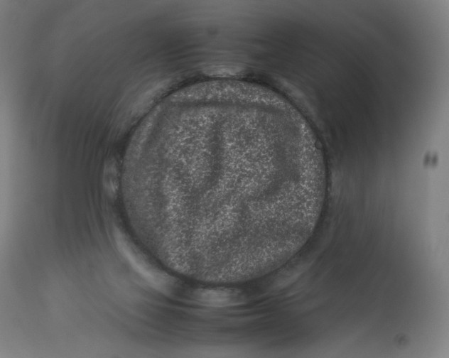 X0000113010069200909171439