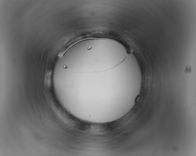 X0000113010070200909171439