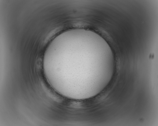 X0000113010071200909171439