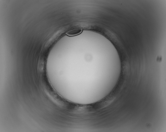 X0000113010072200909171439