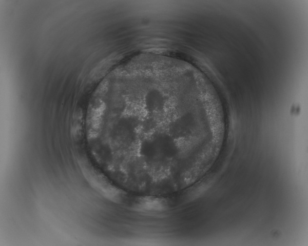 X0000113010073200909171439