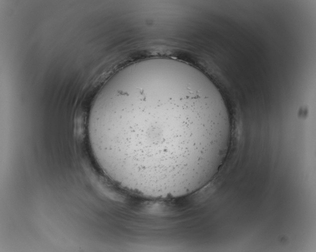 X0000113010074200909171439