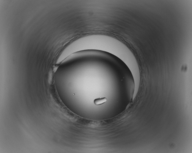 X0000113010076200909171439