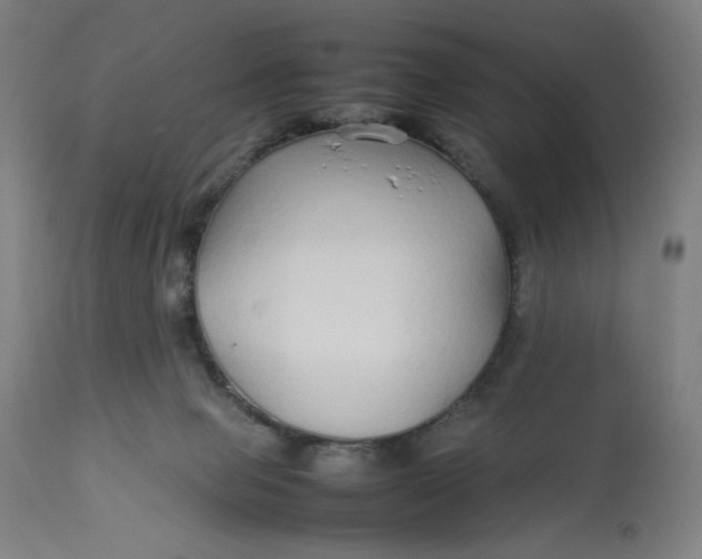 X0000113010077200909171439