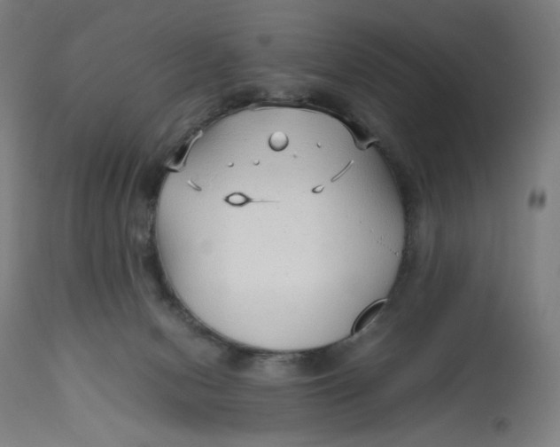 X0000113010078200909171439