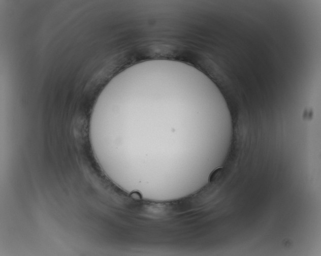 X0000113010079200909171439