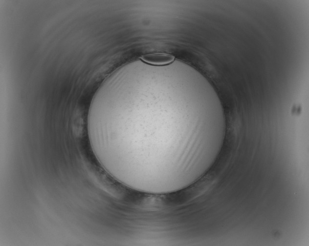 X0000113010080200909171439