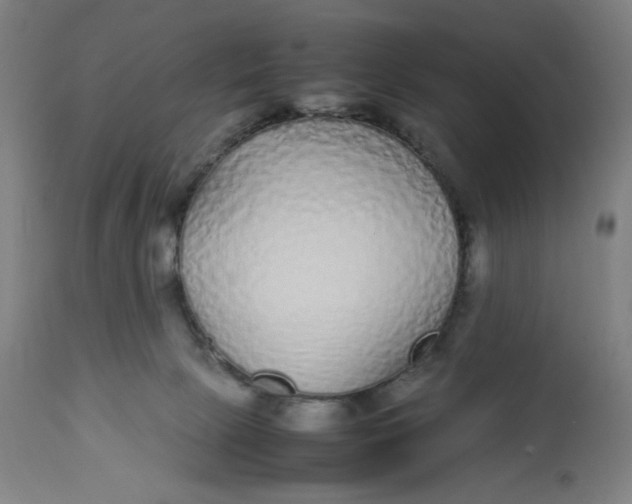 X0000113010081200909171440