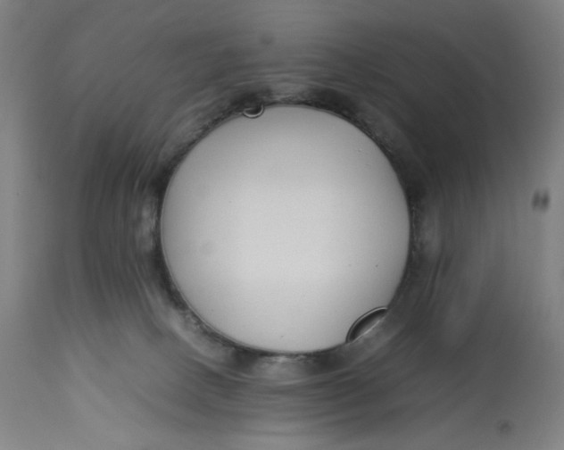 X0000113010082200909171440