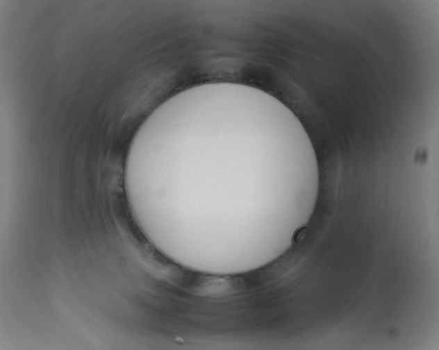 X0000113010083200909171440