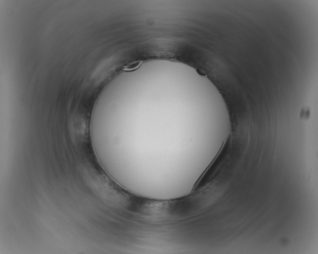 X0000113010084200909171440