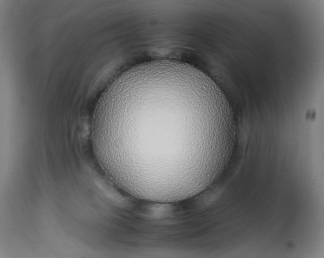 X0000113010085200909171440