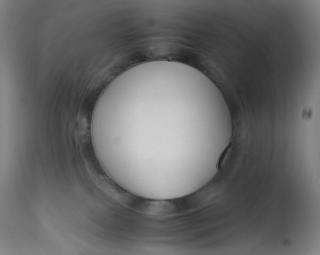 X0000113010087200909171440