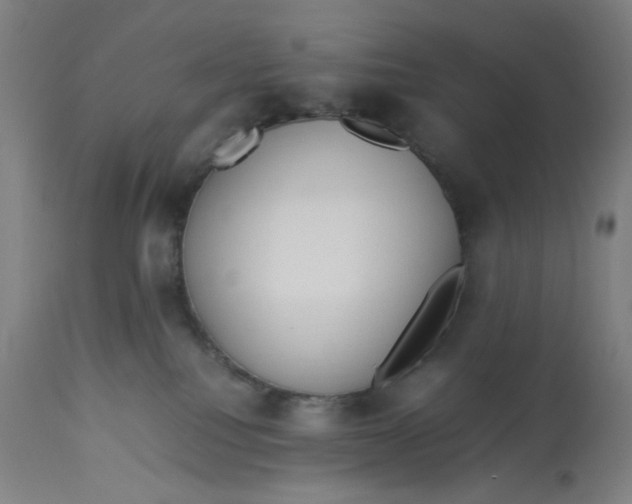 X0000113010088200909171440