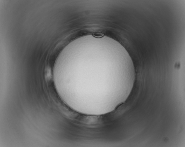 X0000113010089200909171440