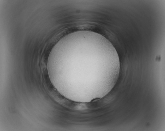 X0000113010091200909171440