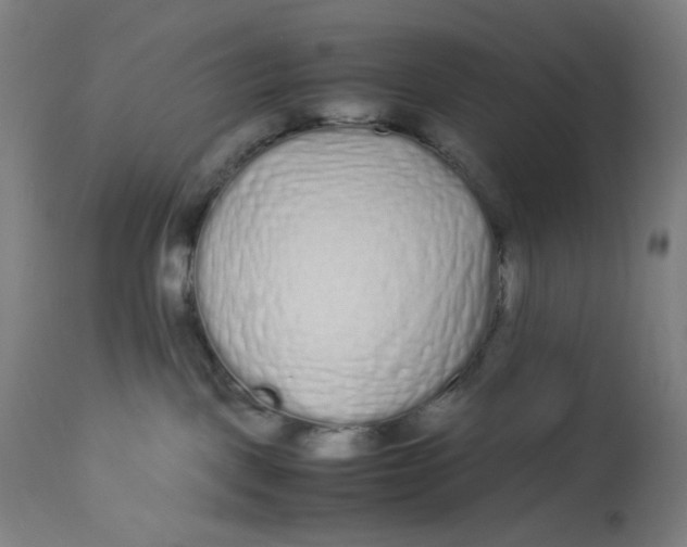 X0000113010093200909171440