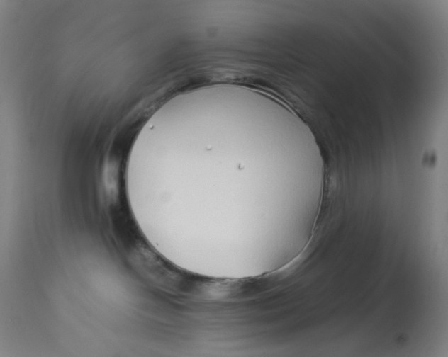 X0000113010094200909171440