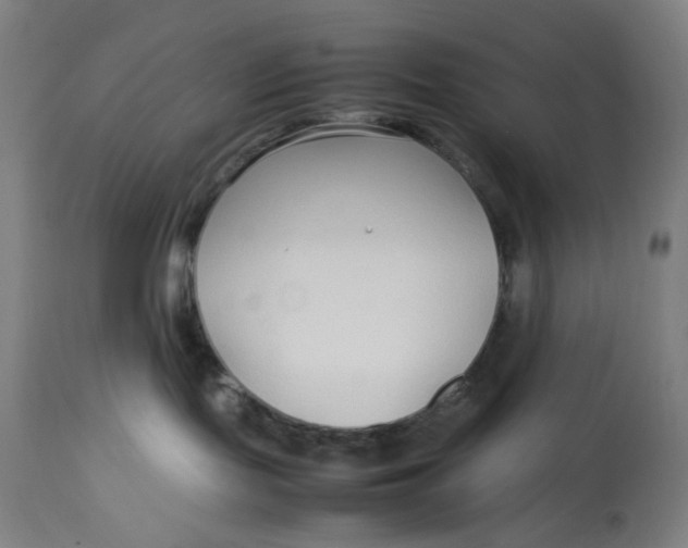 X0000113010095200909171440