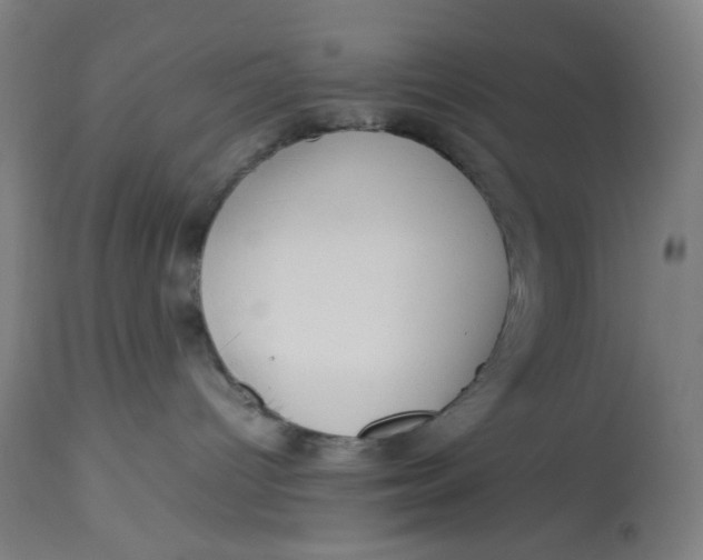 X0000113010096200909171440