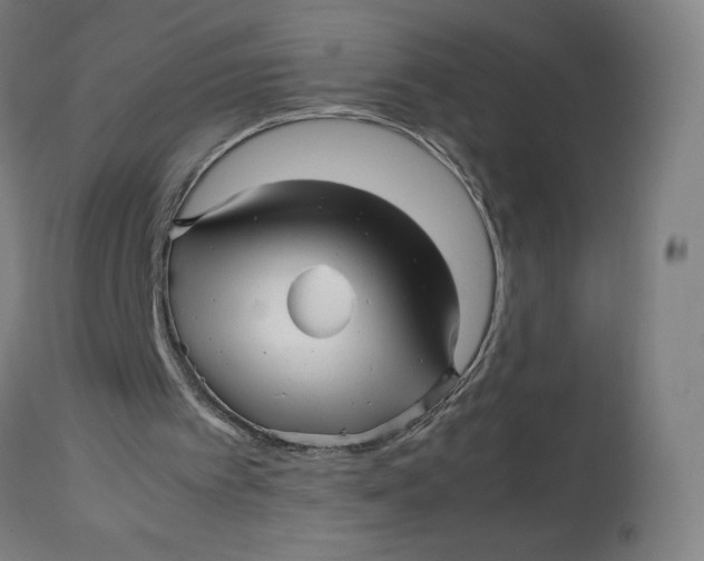 X0000113010097200909171439