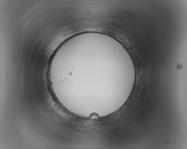 X0000113010098200909171439