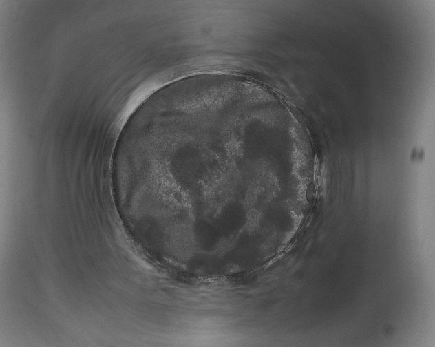 X0000113010099200909171439