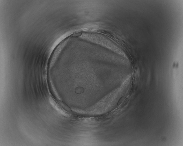 X0000113010100200909171439