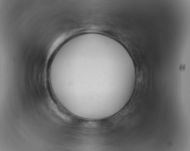 X0000113010102200909171439