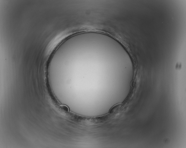 X0000113010103200909171439