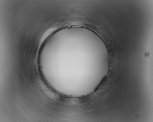 X0000113010104200909171439