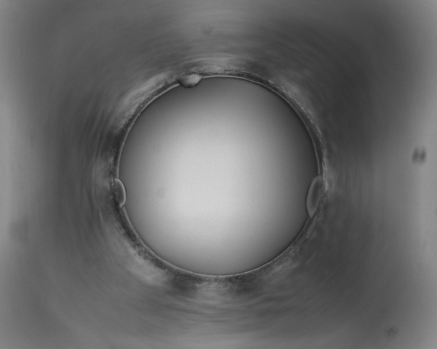 X0000113010105200909171439