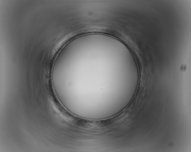 X0000113010107200909171439