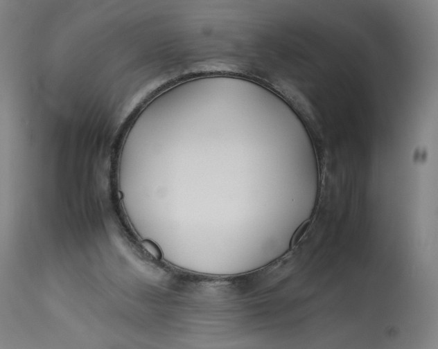 X0000113010108200909171439