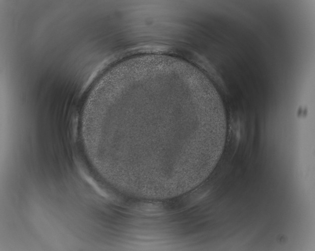 X0000113010110200909171439