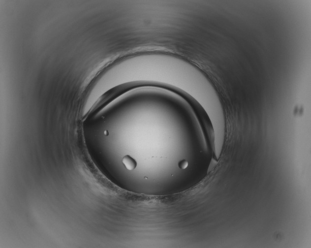 X0000113010112200909171439