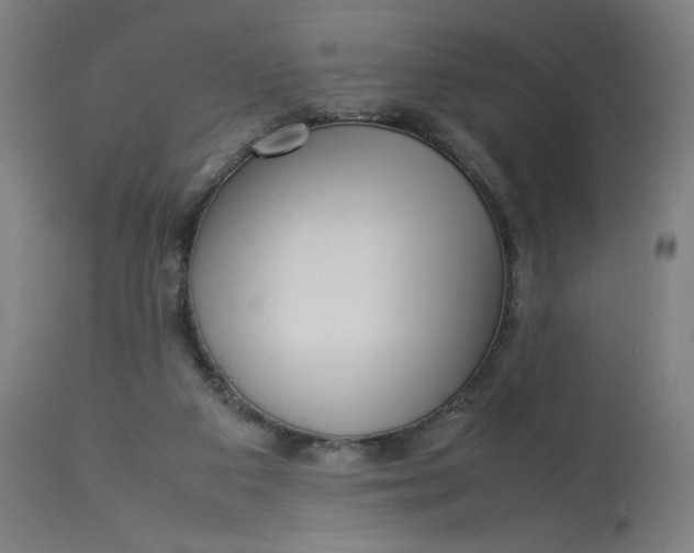 X0000113010113200909171439